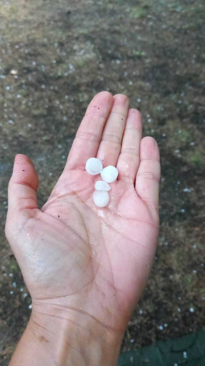 Calamarsa a Ribera de Cardós