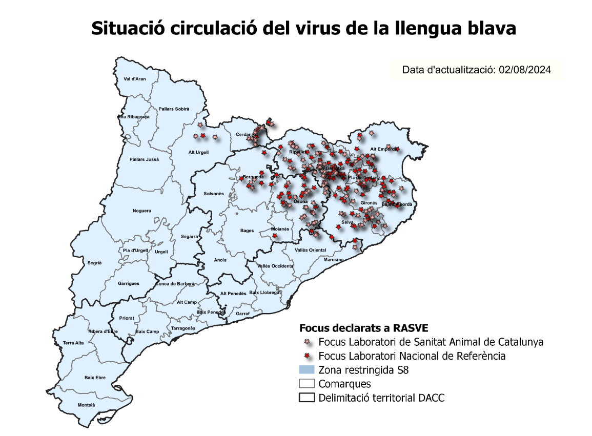 Llengua blava situació