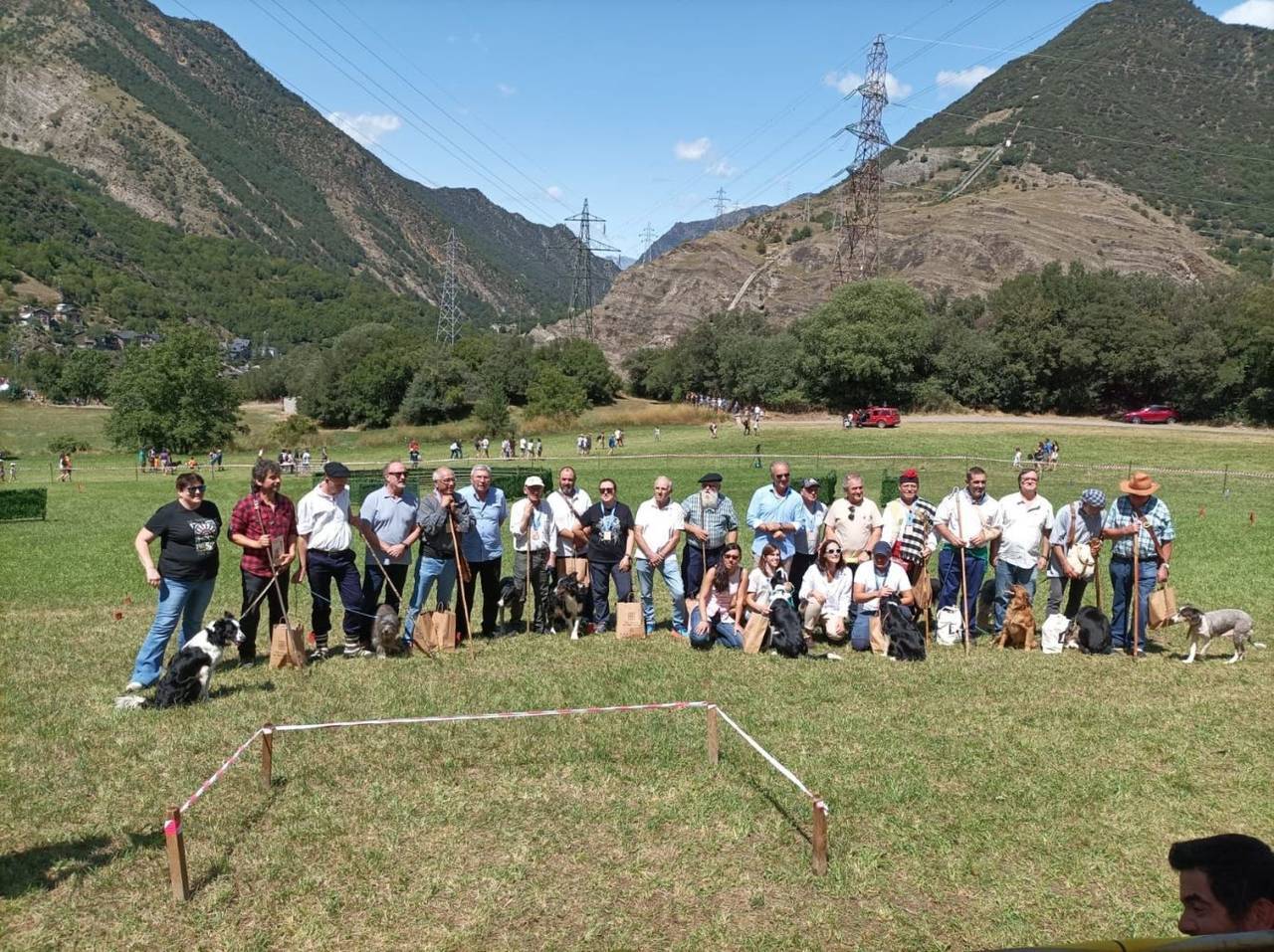 Gossos d'atura Llavorsí 4