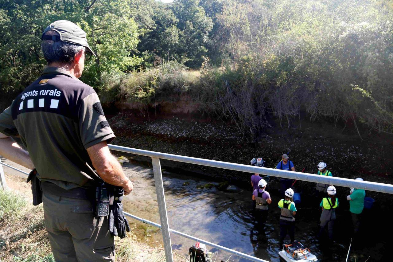 Canal de Sossís truites 4
