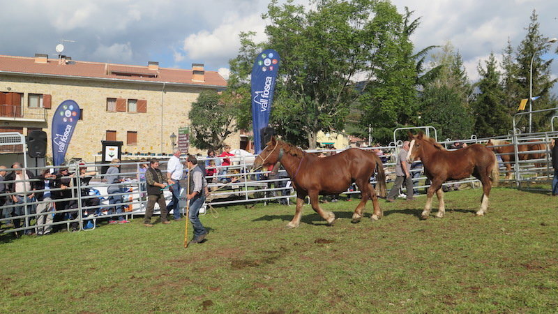 Fira Ramadera la Pobleta de Bellveí 2