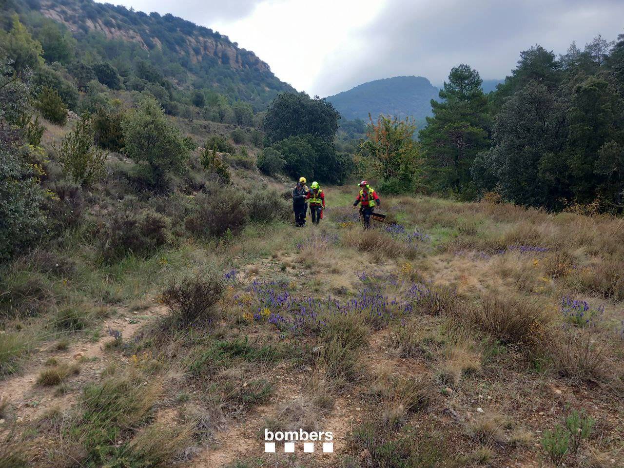 Bombers rescaten boletaire a Gavarra 2