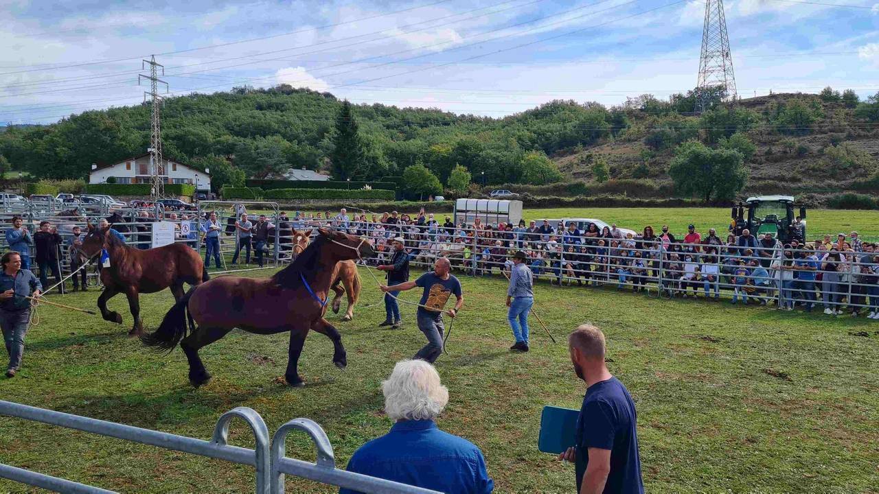 cavalls fira la Pobleta