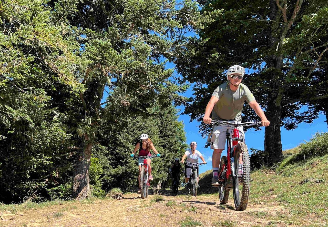 Bicicleta elèctrica usuaris 4