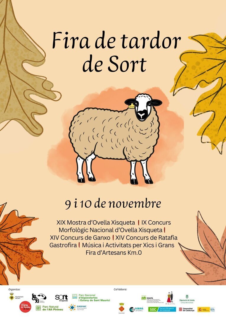 Fira de Tardor Sort 4