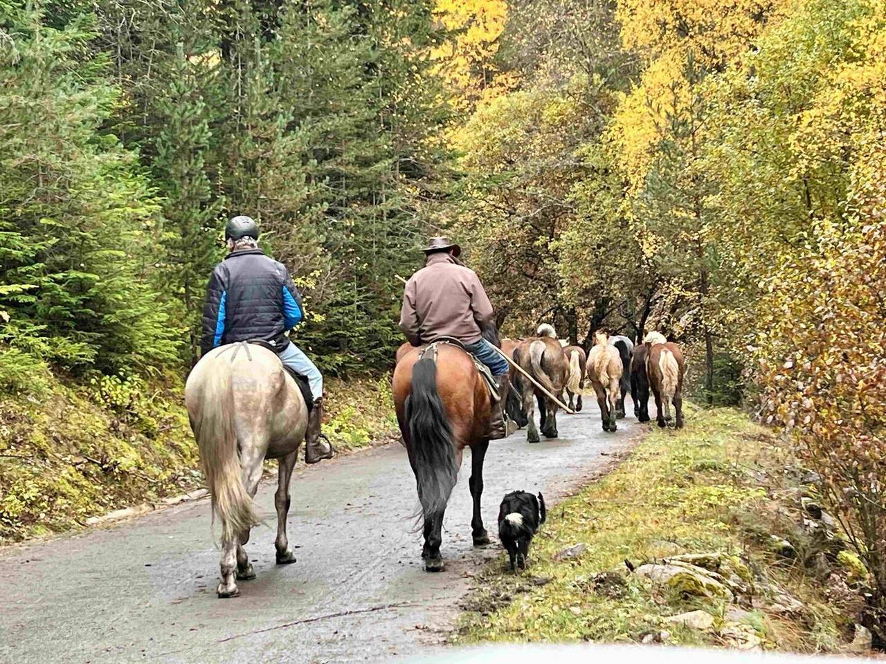 Cavalls Pablo Moreno 2