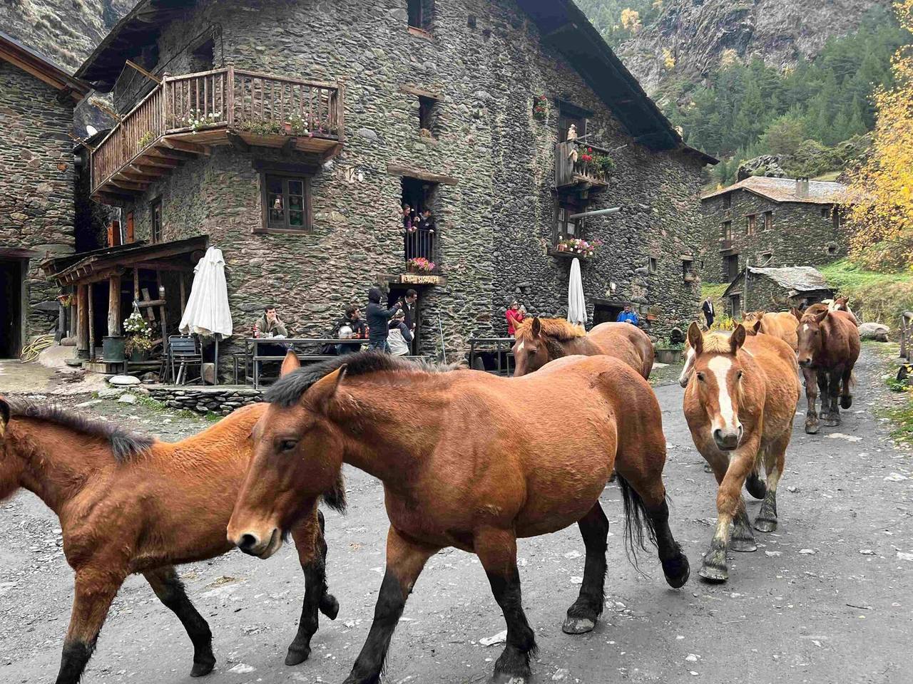 Cavalls Pablo Moreno 3