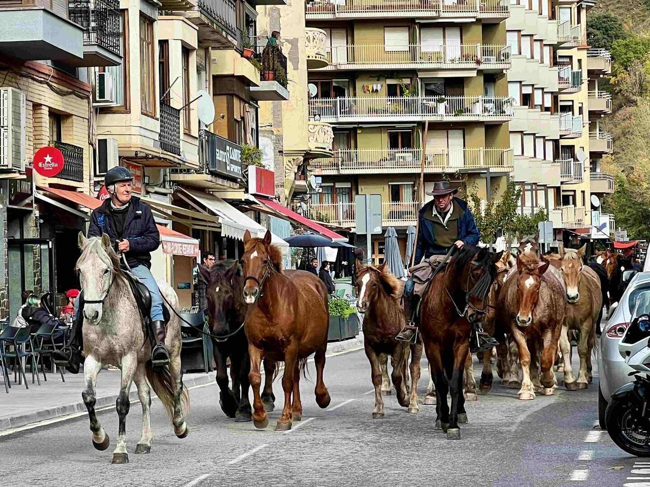Cavalls Pablo Moreno 4