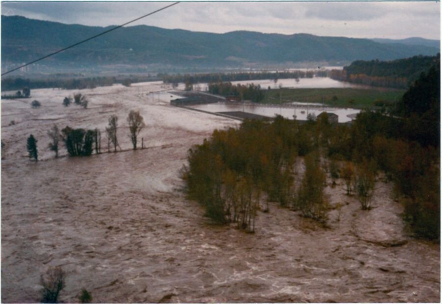 Segrada 1982