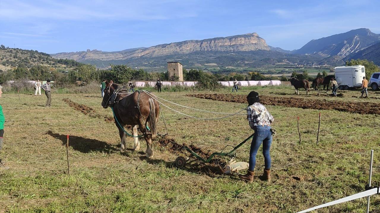 Fira de Salàs LLAURADORS 2