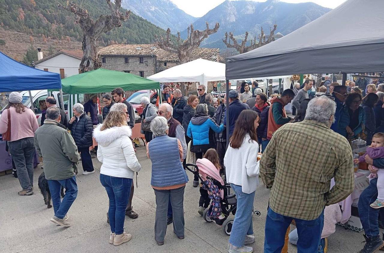 Fira de la Vall de Tuixent 2