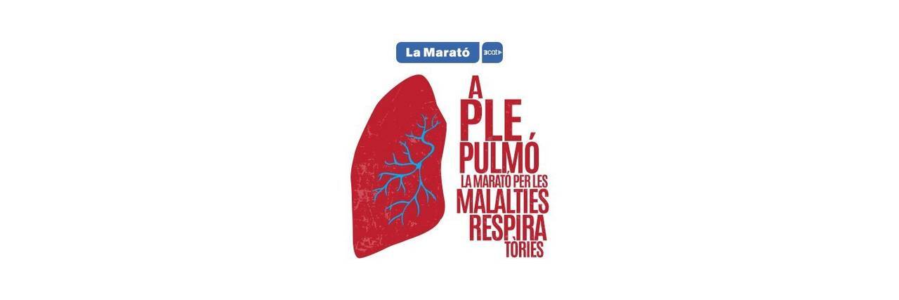 La Marató 3