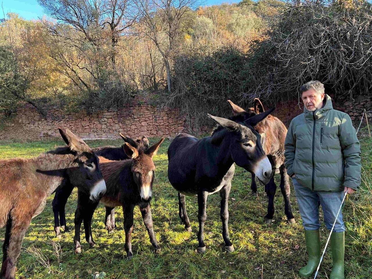 Apadrina un ruc català 2