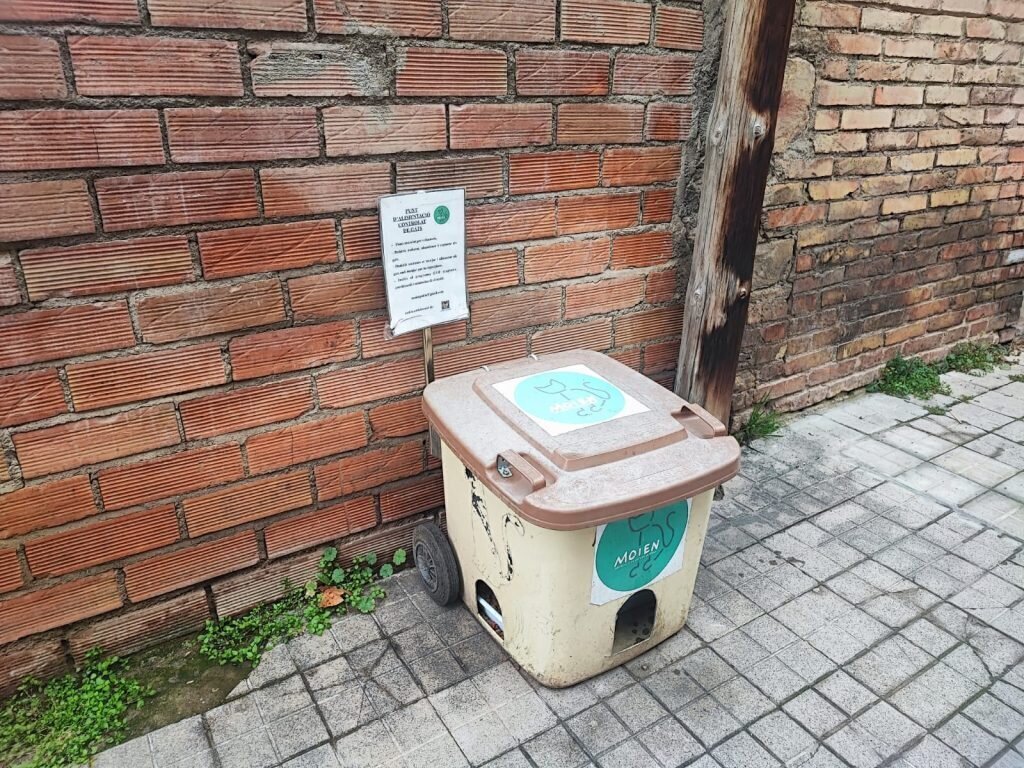 Refugi gats la Pobla 2