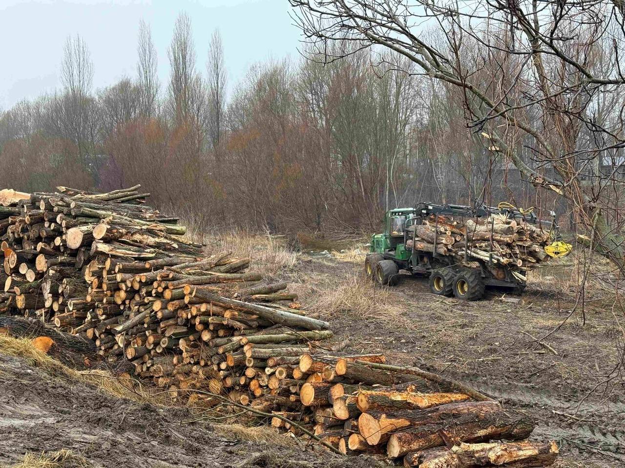 Tala arbres de ribera Segre 2