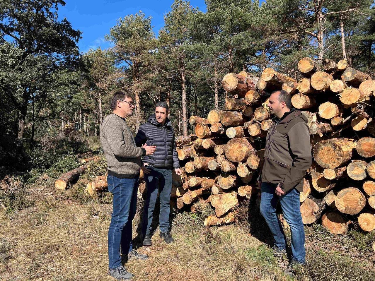 Bosc Salàs de Pallars fong 5 @Marta Lluvich