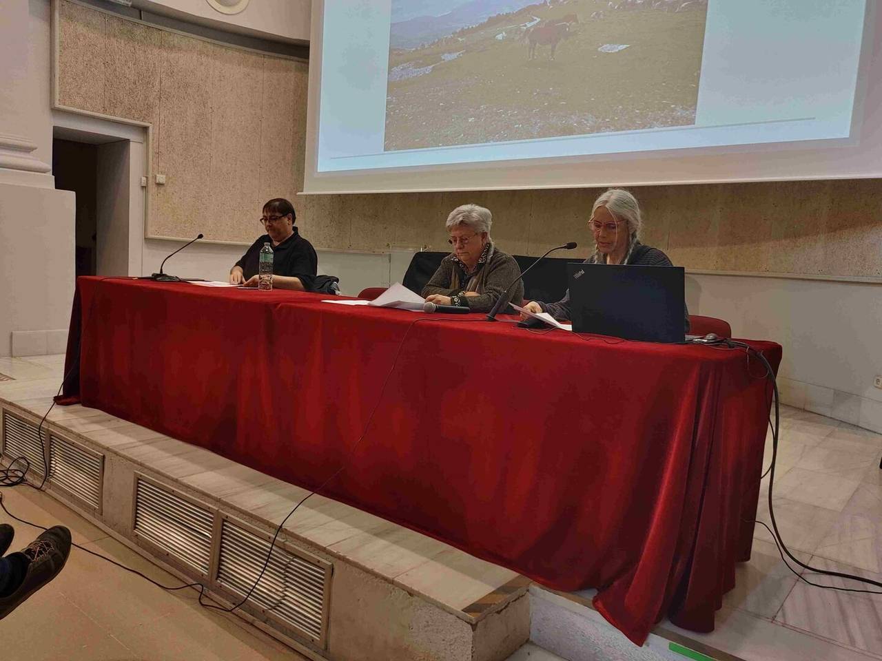 Lectura-del-Manifest Confluència febrer 2025