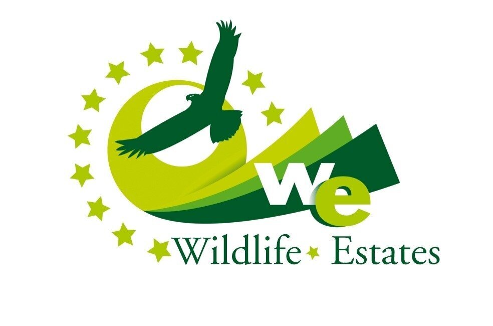 LogoWE