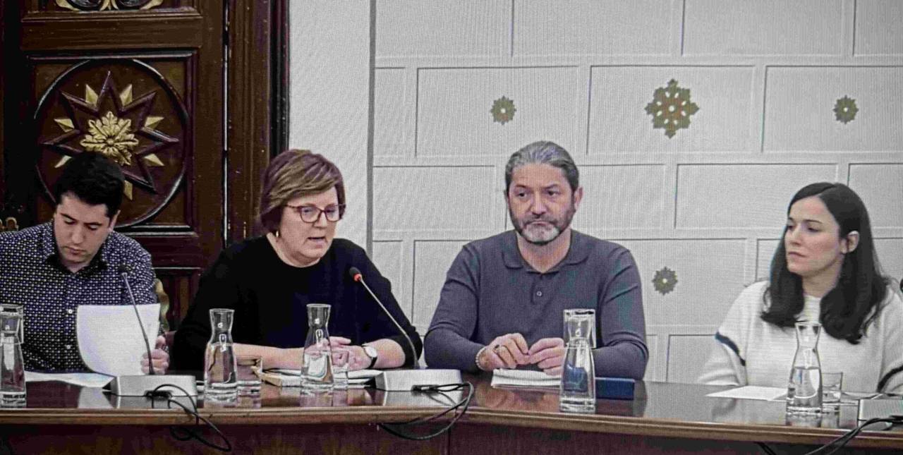 Ple pressupostos 2025 la Seu 