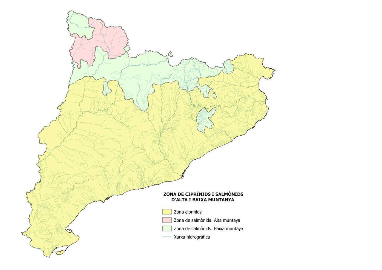 unnamed - 2025-03-14T194802.988