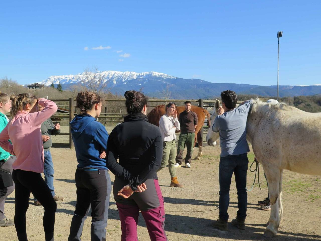 EAP curs activitat equina 2