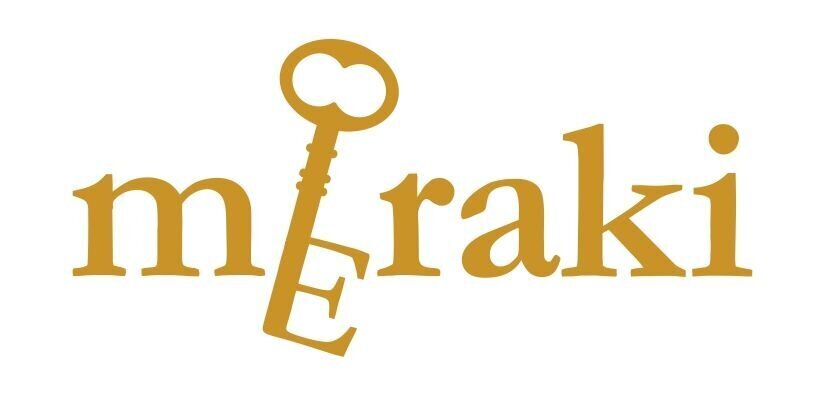 MERAKI 3 - COLOR P1245_page-0001