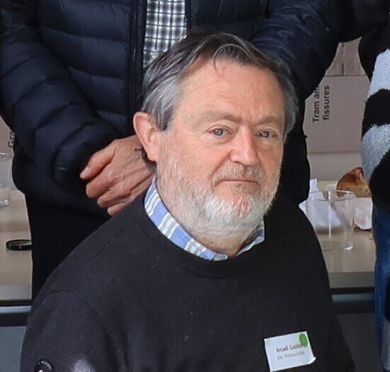 Arcadi Castilló