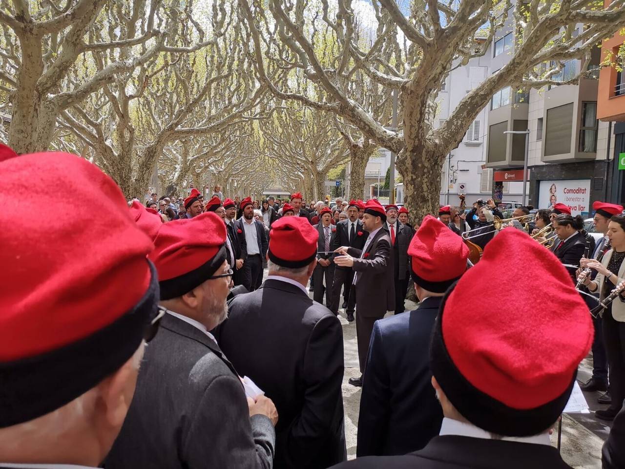 Caramelles 2025 3