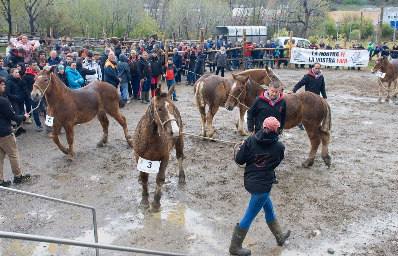 Fira de Primavera de Puigcerdà 26a edició