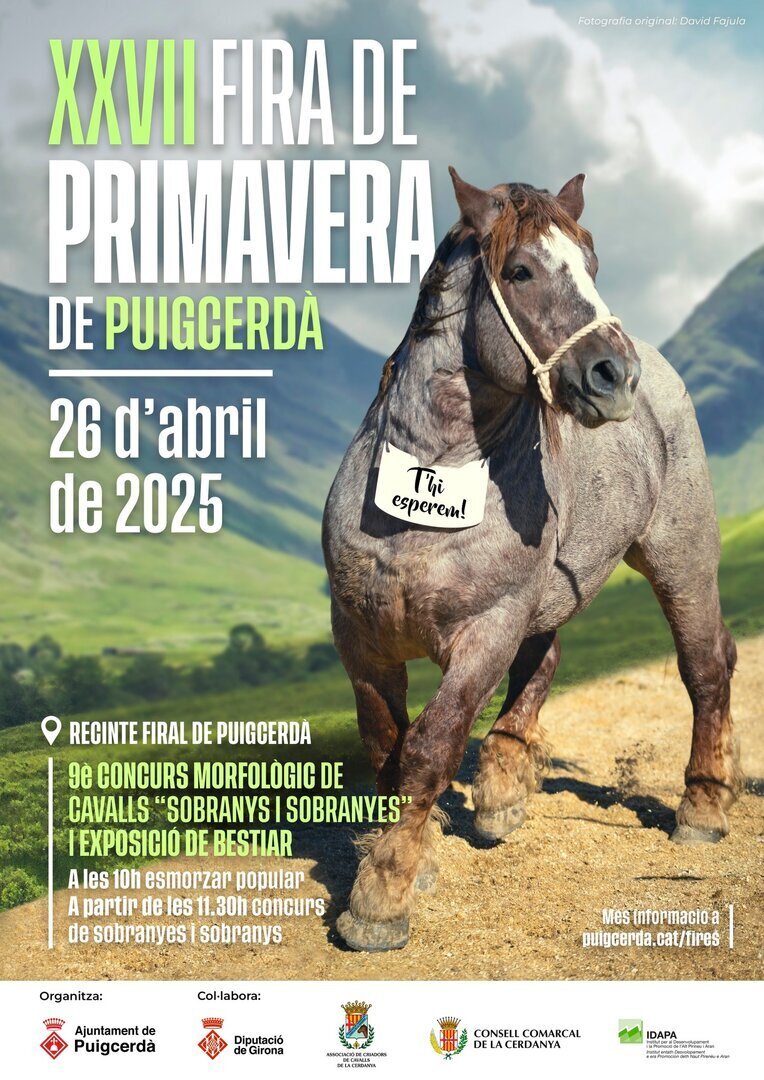 Fira de Primavera de Puigcerdà 26a edició 4