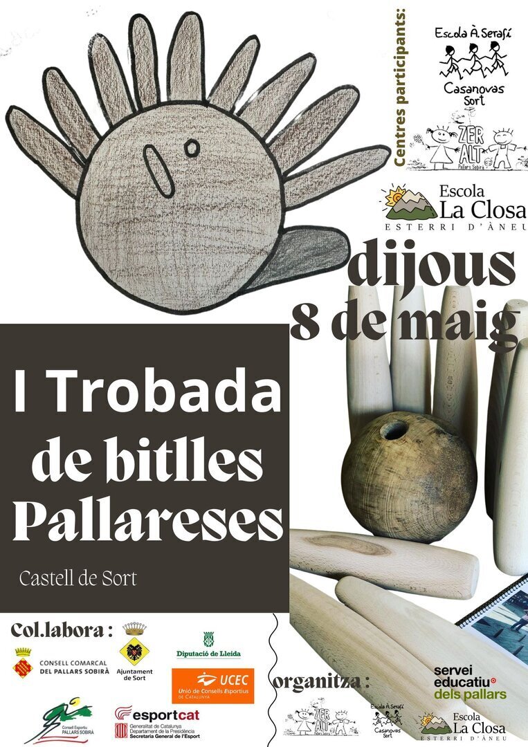 pòster de les bitlles (4)