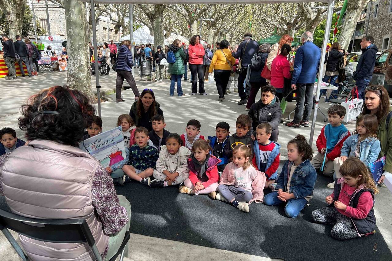 Sant Jordi 2025 @Albert L. Cobo 4