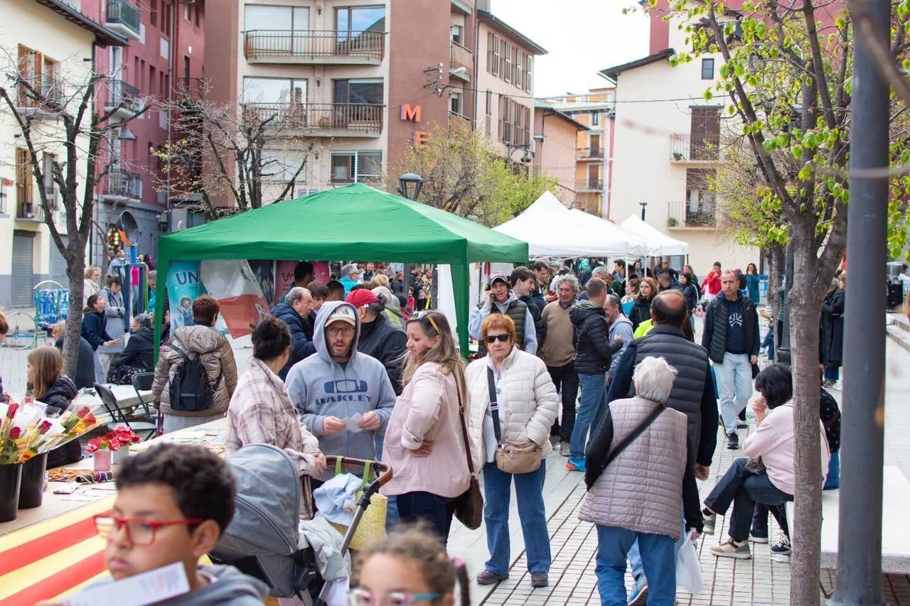 Sant Jordi 2025 Puigcerdà 2