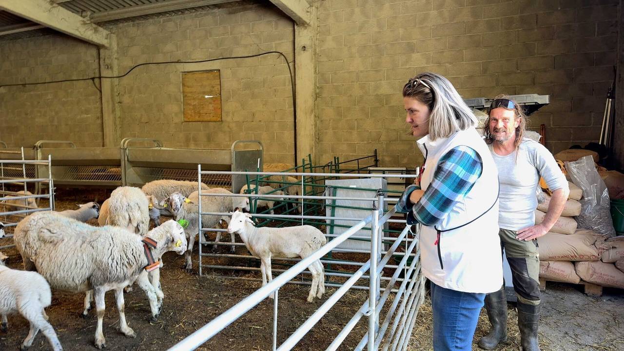 Ramat Vilamòs Aran 2