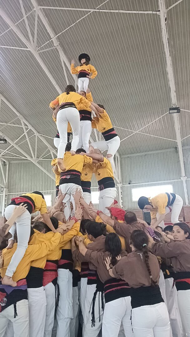 3 de 6 amb agulla  Diada Sant Bonifaci