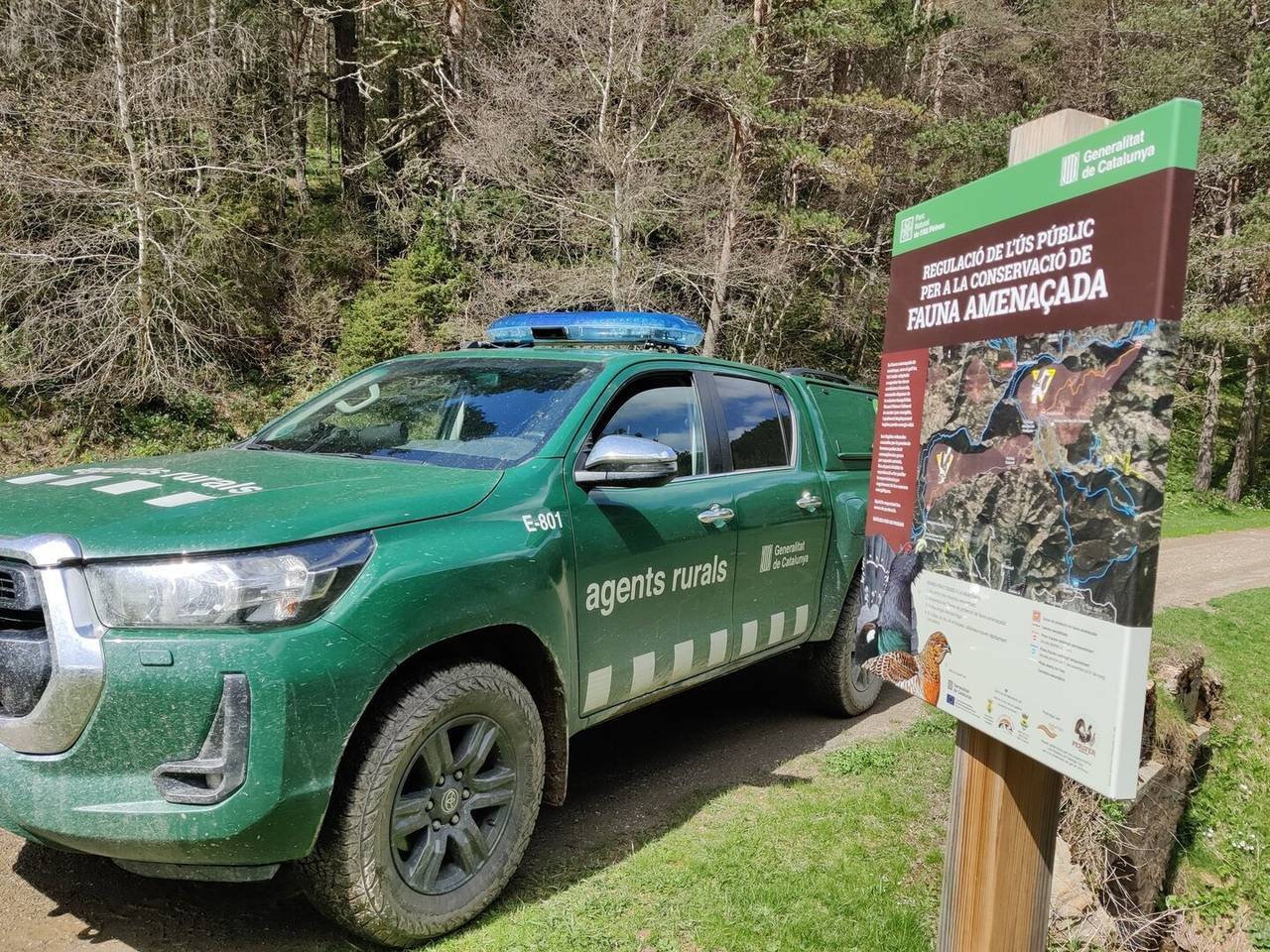 accés motoritzat protecció gall fer Agents Rurals 2