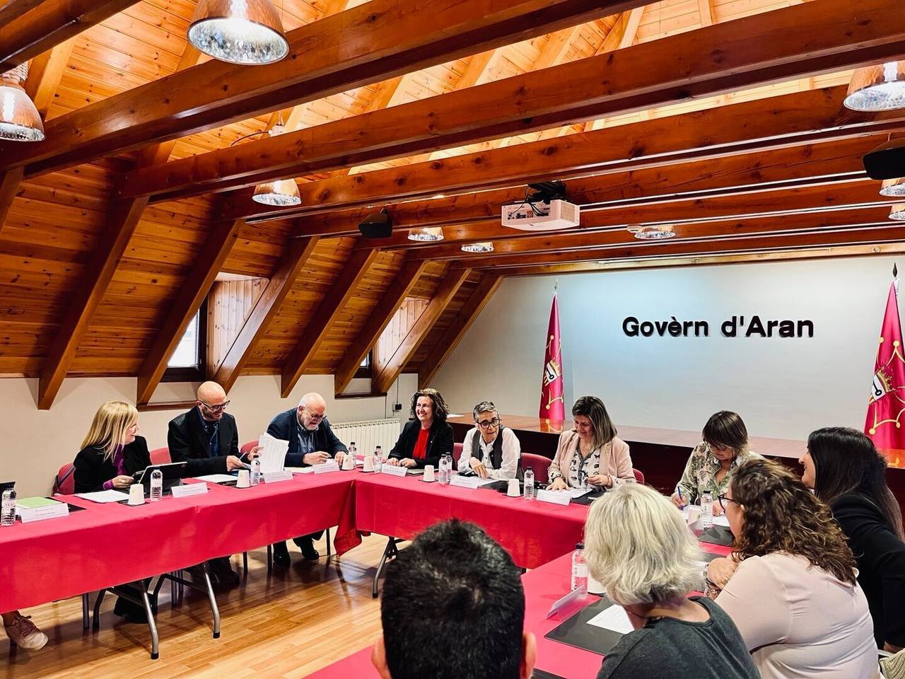 Aran consellera Pané 2