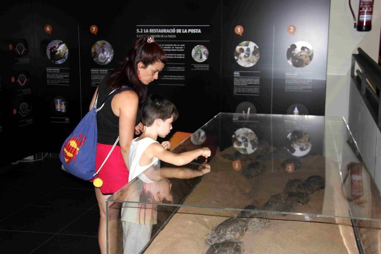 Dinosfera 10 anys 3