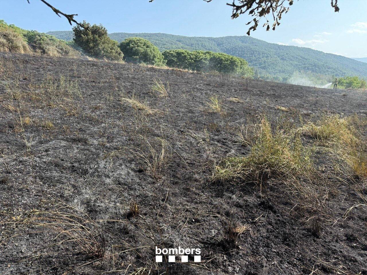 Incendi forestal Arfa 2