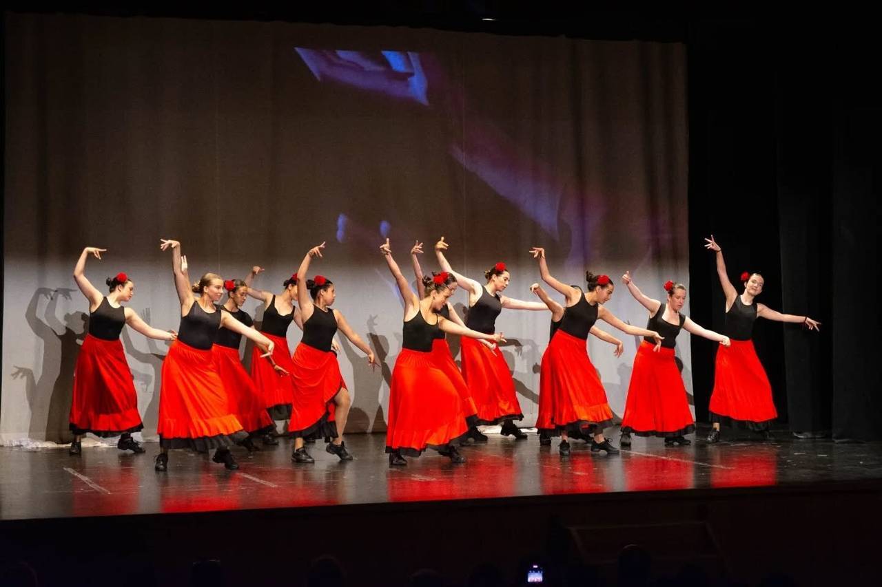 pUIGCERDÀ 'Pas a Pas Gym Dance' 3
