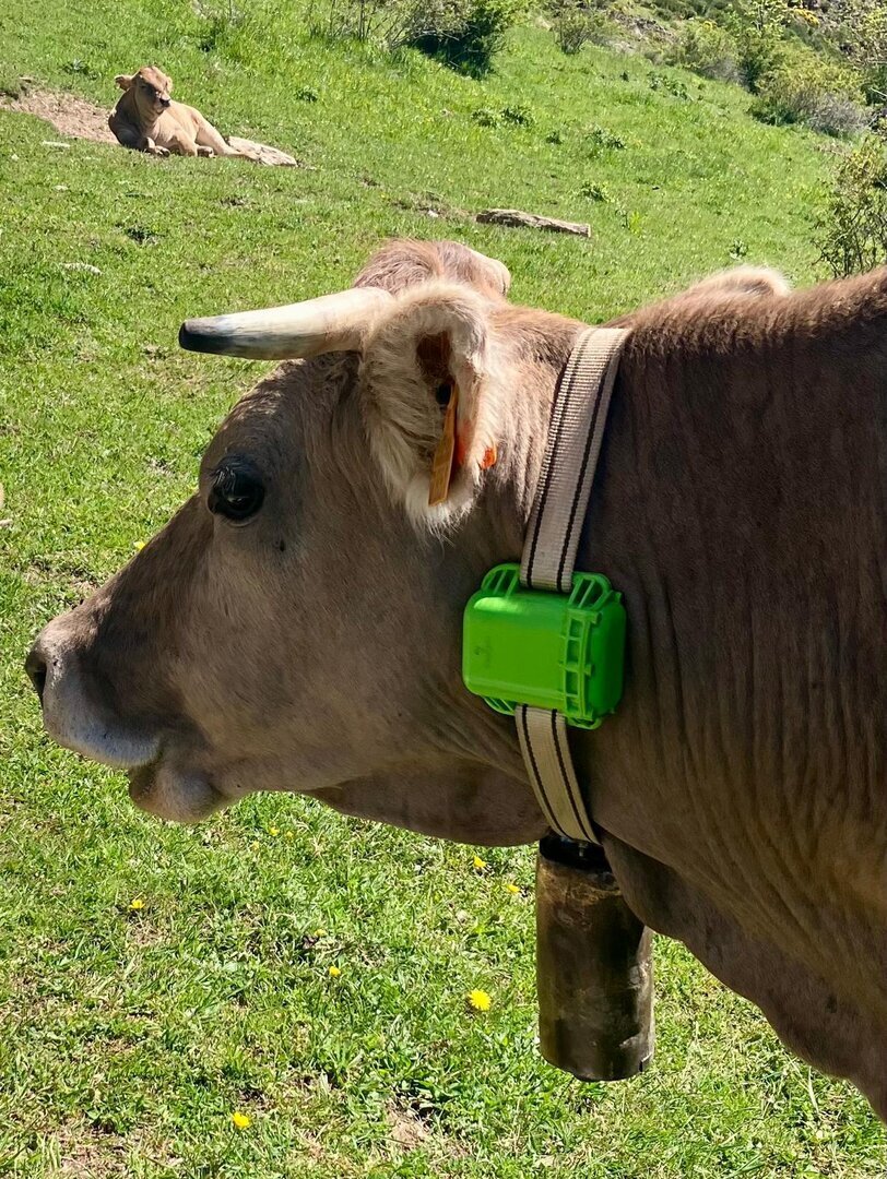 contròl GPS entre es ramadèrs dera Val d’Aran 2