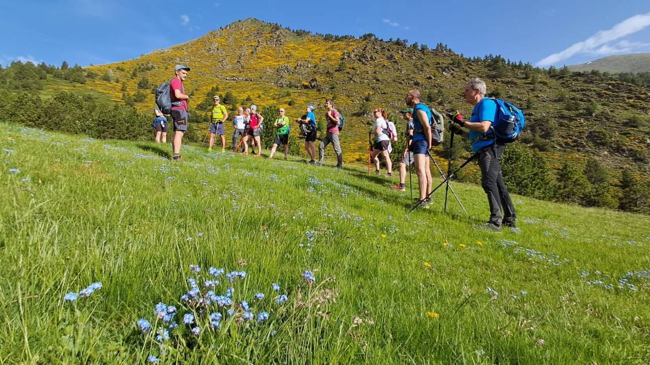 Festival Camina Pirineus - Alt Urgell 5a edició 4