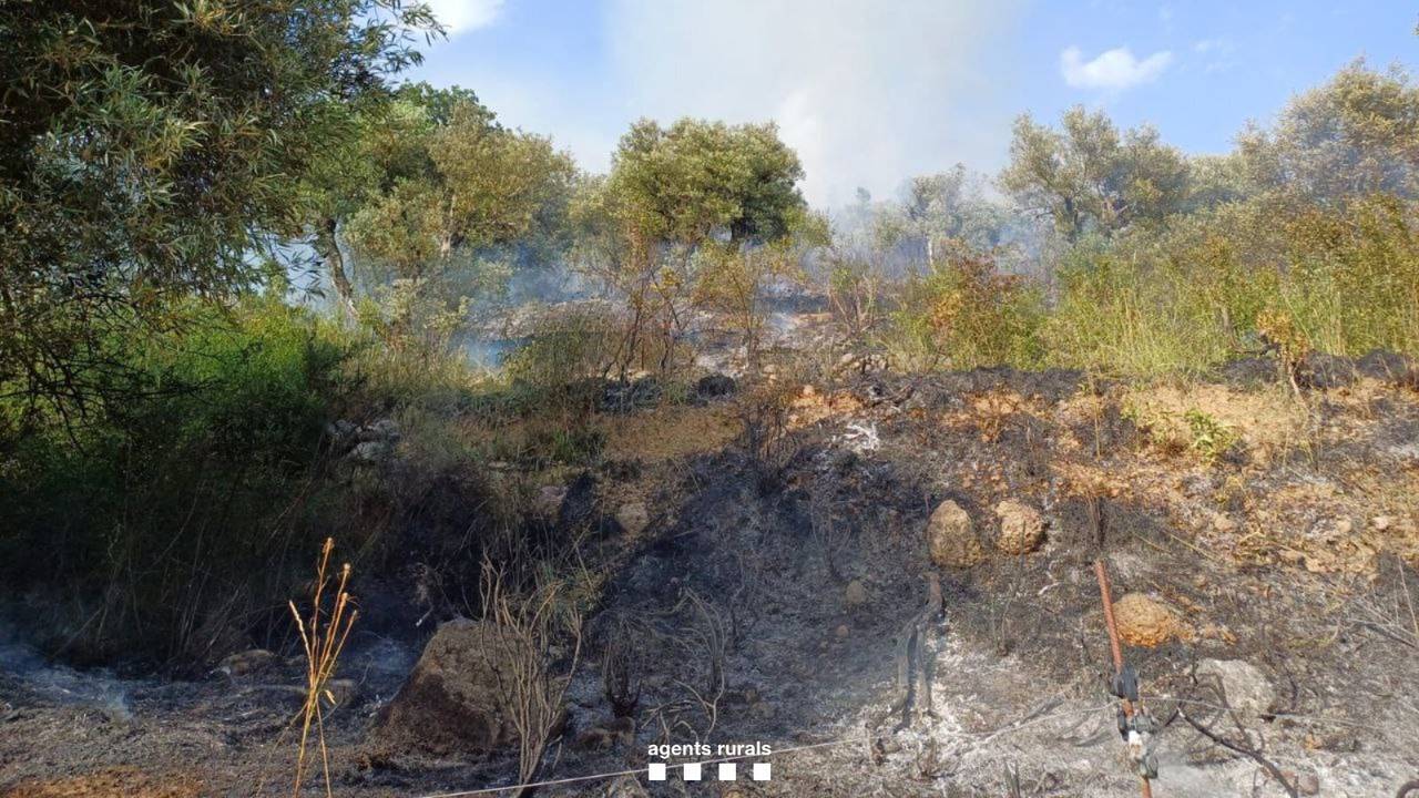 Incendi Salàs de Pallars 2