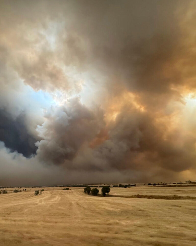 Incendi de finques de conreus