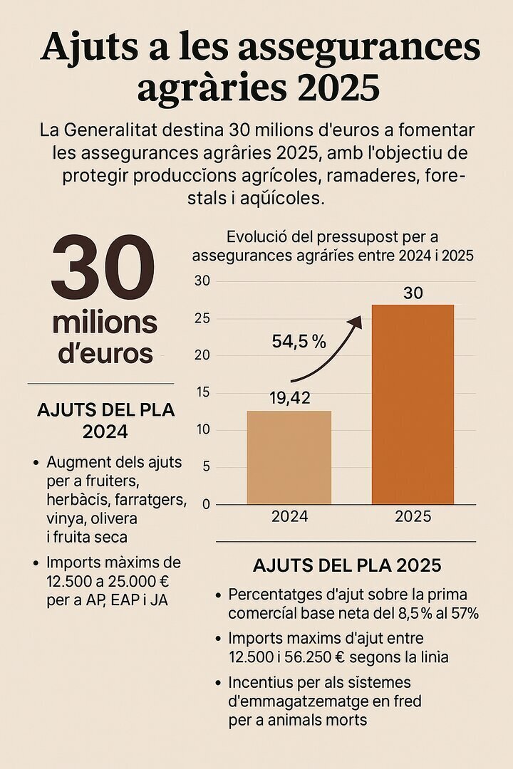 Increment dels ajuts