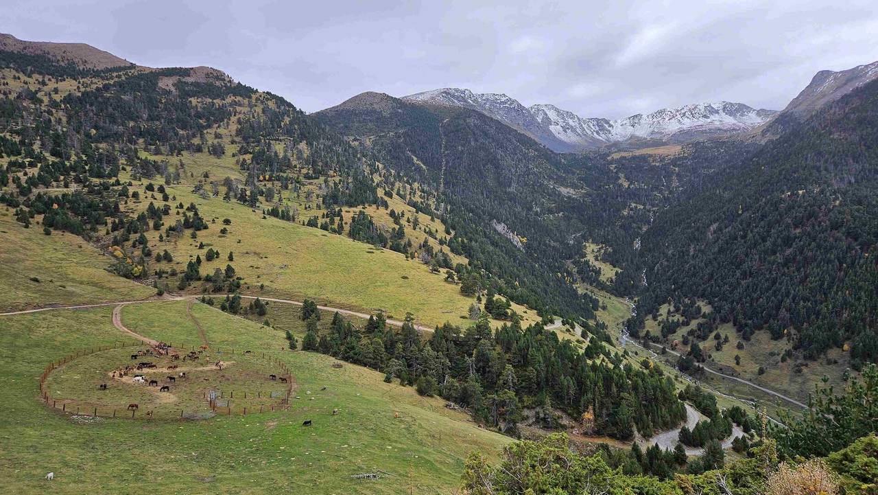Tor muntanya