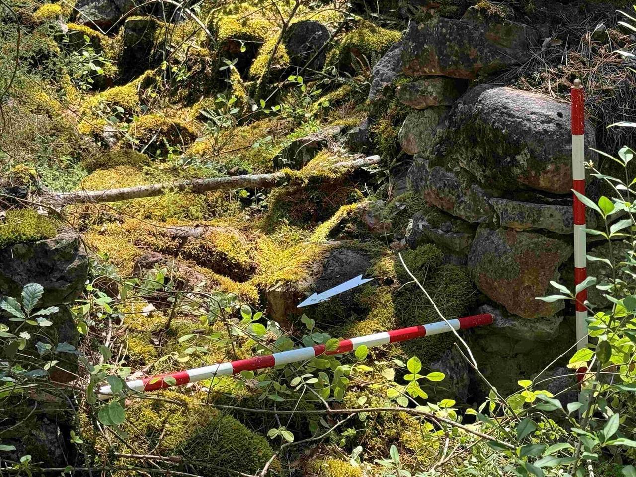 Prospeccions presa Talarn 4