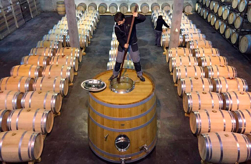 Benvinguts a Pagès Celler Tomàs Cusiné