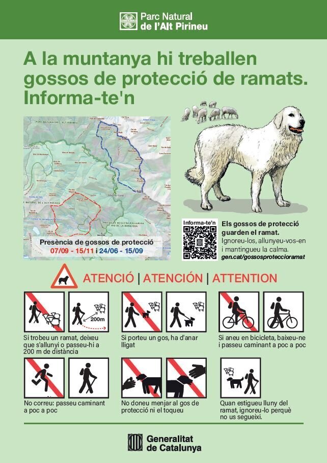 gossos de protecció 2