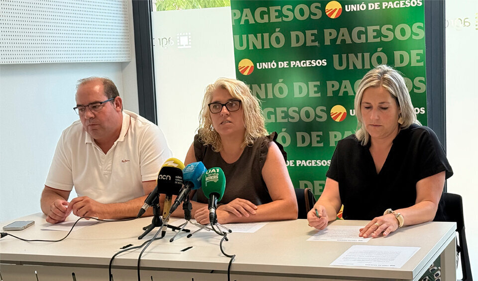 Nèstor Serra, Carol Aixut i Raquel Serrat ©UP